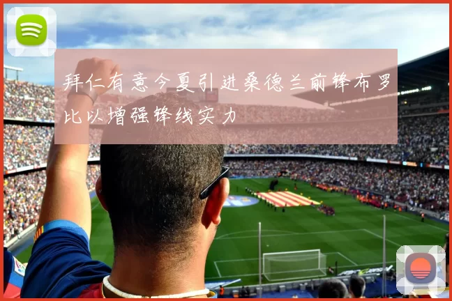 拜仁有意今夏引进桑德兰前锋布罗比以增强锋线实力