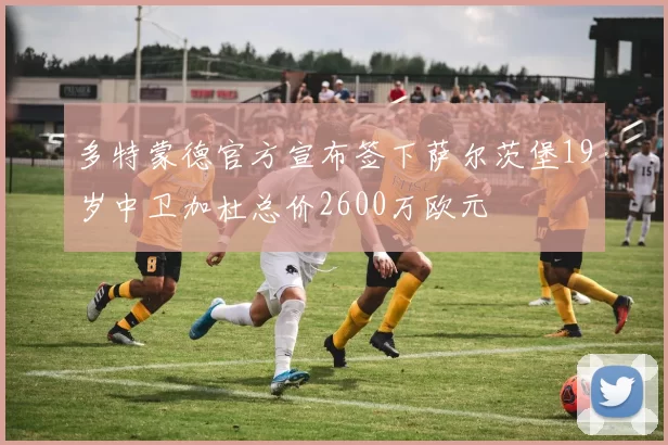 多特蒙德官方宣布签下萨尔茨堡19岁中卫加杜总价2600万欧元